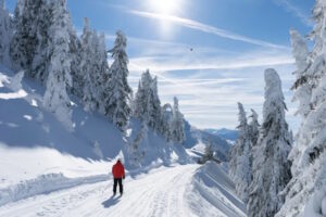 Skifahrer in verschneiter Landschaft