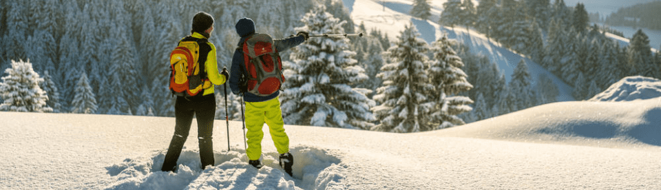 Zwei Wanderer im Schnee von Hinten