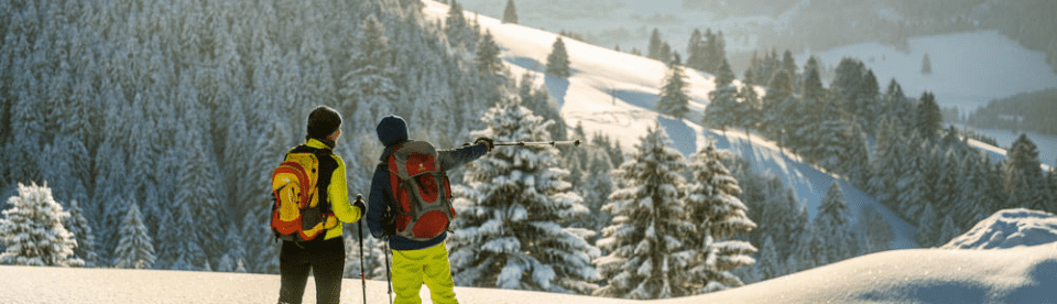 Zwei Wanderer zeigen in die Ferne